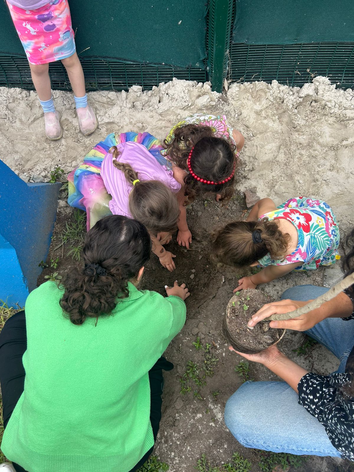 Children digging and exploring together in the sand
