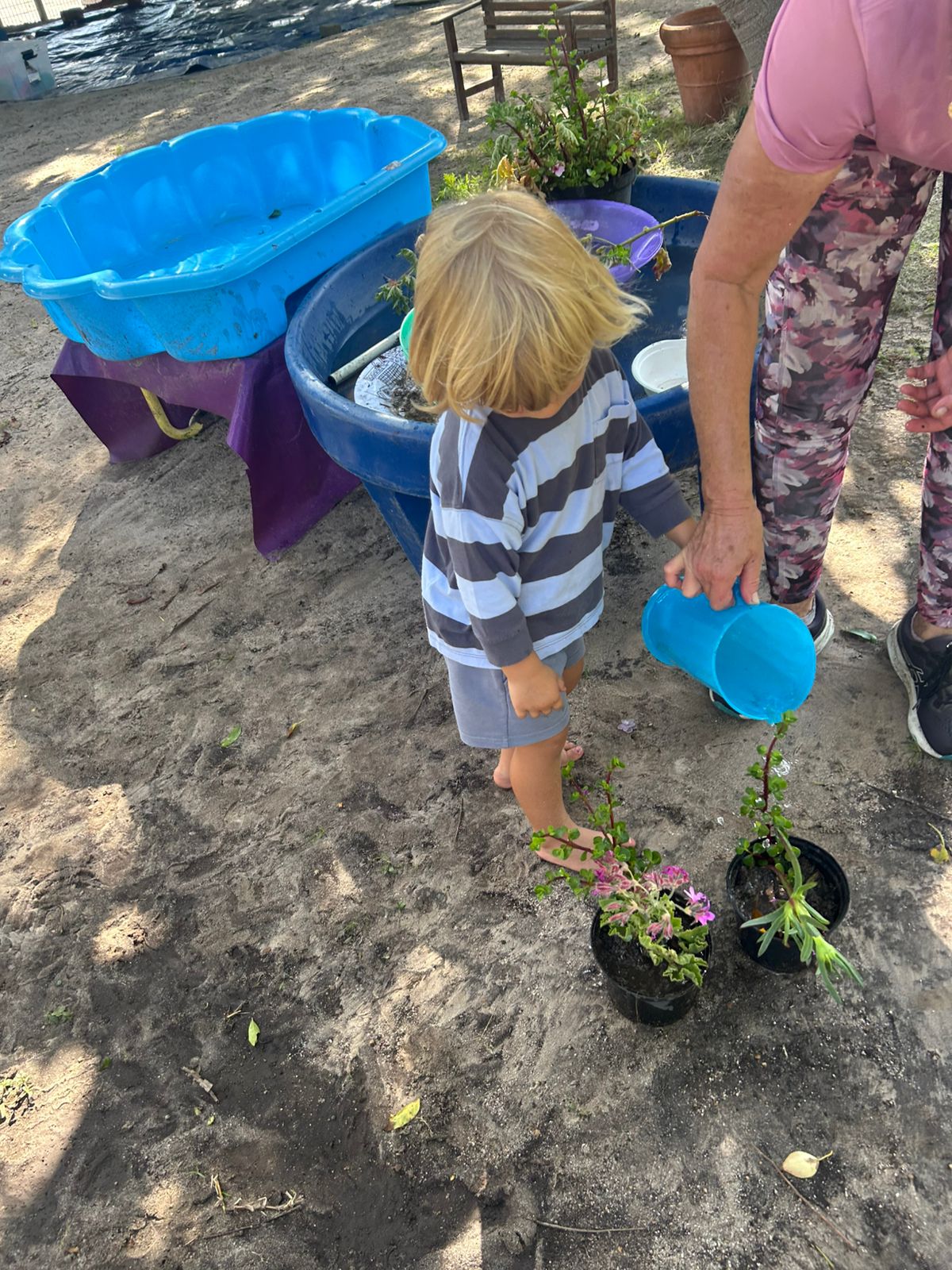 Child watering plants in the Rimon garden