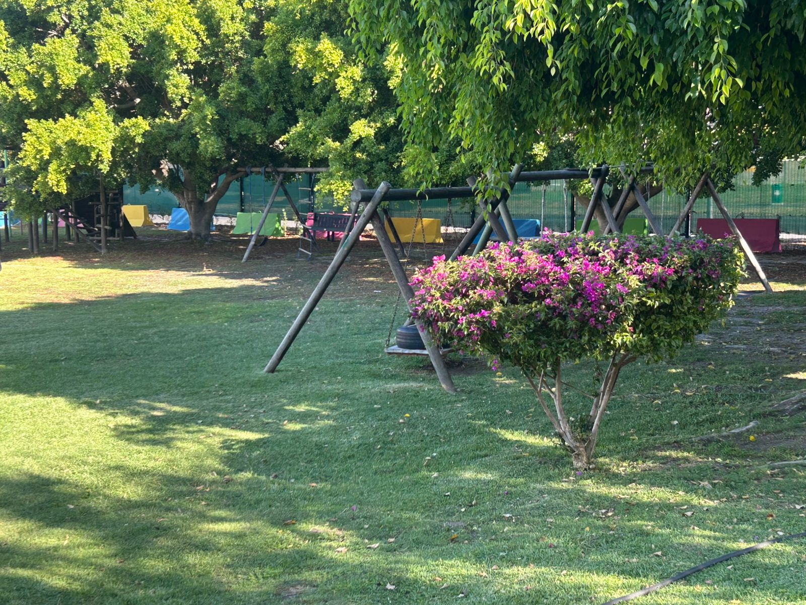 Rimon campus playground under shady trees